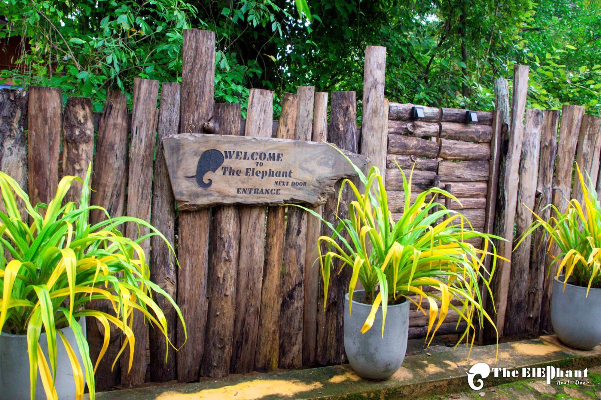 The Elephant Next-Door Udawalawe Bagian luar foto