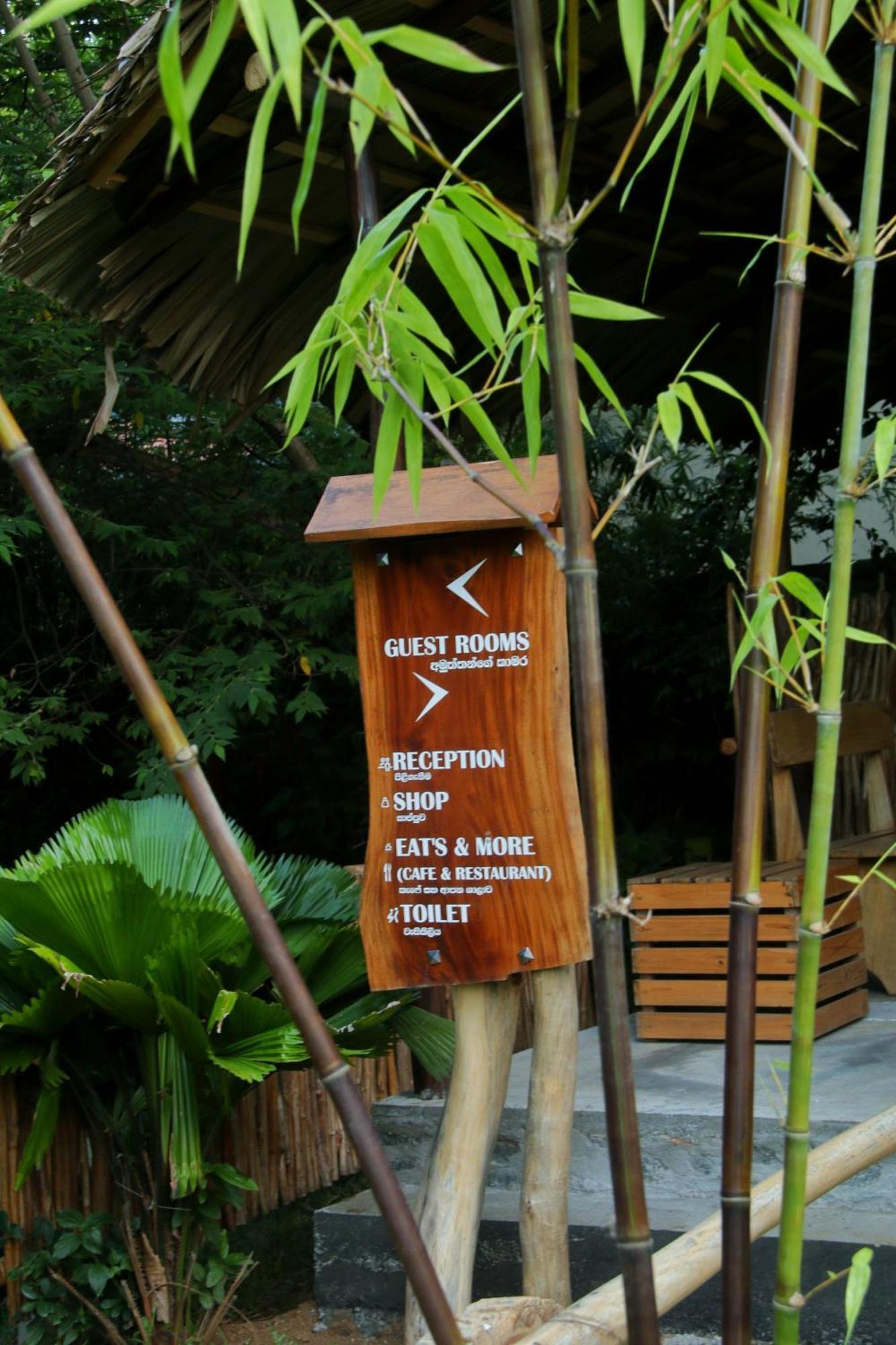 The Elephant Next-Door Udawalawe Bagian luar foto
