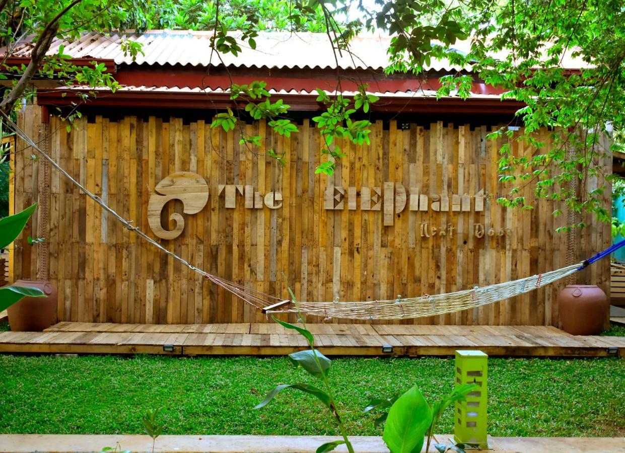 The Elephant Next-Door Udawalawe Bagian luar foto