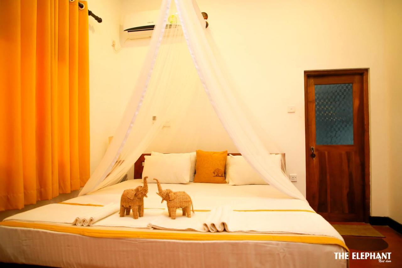 The Elephant Next-Door Udawalawe Bagian luar foto