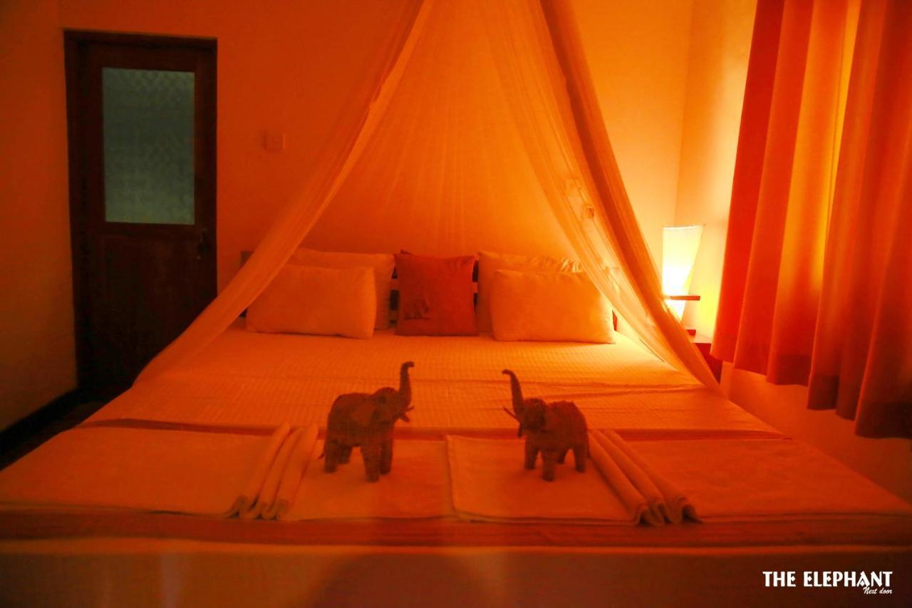 The Elephant Next-Door Udawalawe Bagian luar foto